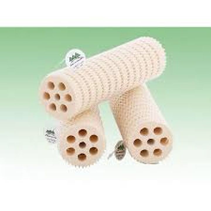 Sứ Thanh Củ Sen Lotus Root Bacteria House Mountain Tree I