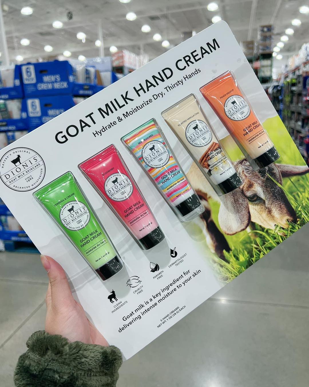 𝐊𝐞𝐦 𝐝𝐮̛𝐨̛̃𝐧𝐠 𝐝𝐚 𝐭𝐚𝐲 𝐃𝐢𝐨𝐧𝐢𝐬 𝐆𝐨𝐚𝐭 𝐌𝐢𝐥𝐤 𝐇𝐚𝐧𝐝 𝐂𝐫𝐞𝐚𝐦
