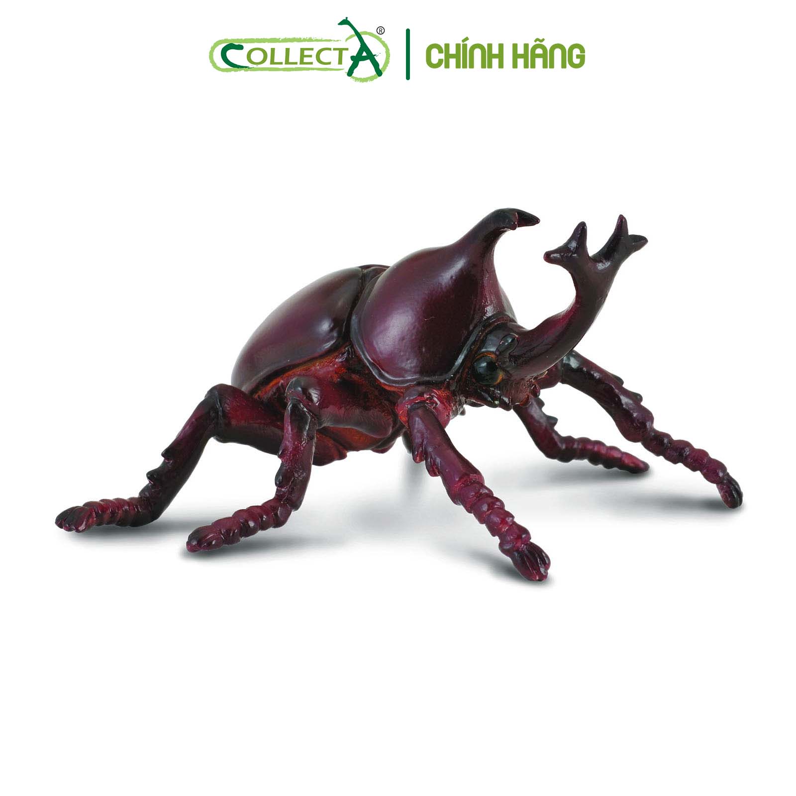Đồ chơi mô hình động vật CollectA Kiến Vương - Rhinoceros Beetle