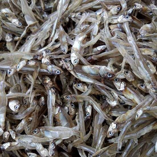 500g cá cơm khô - mắm huế cô thủy