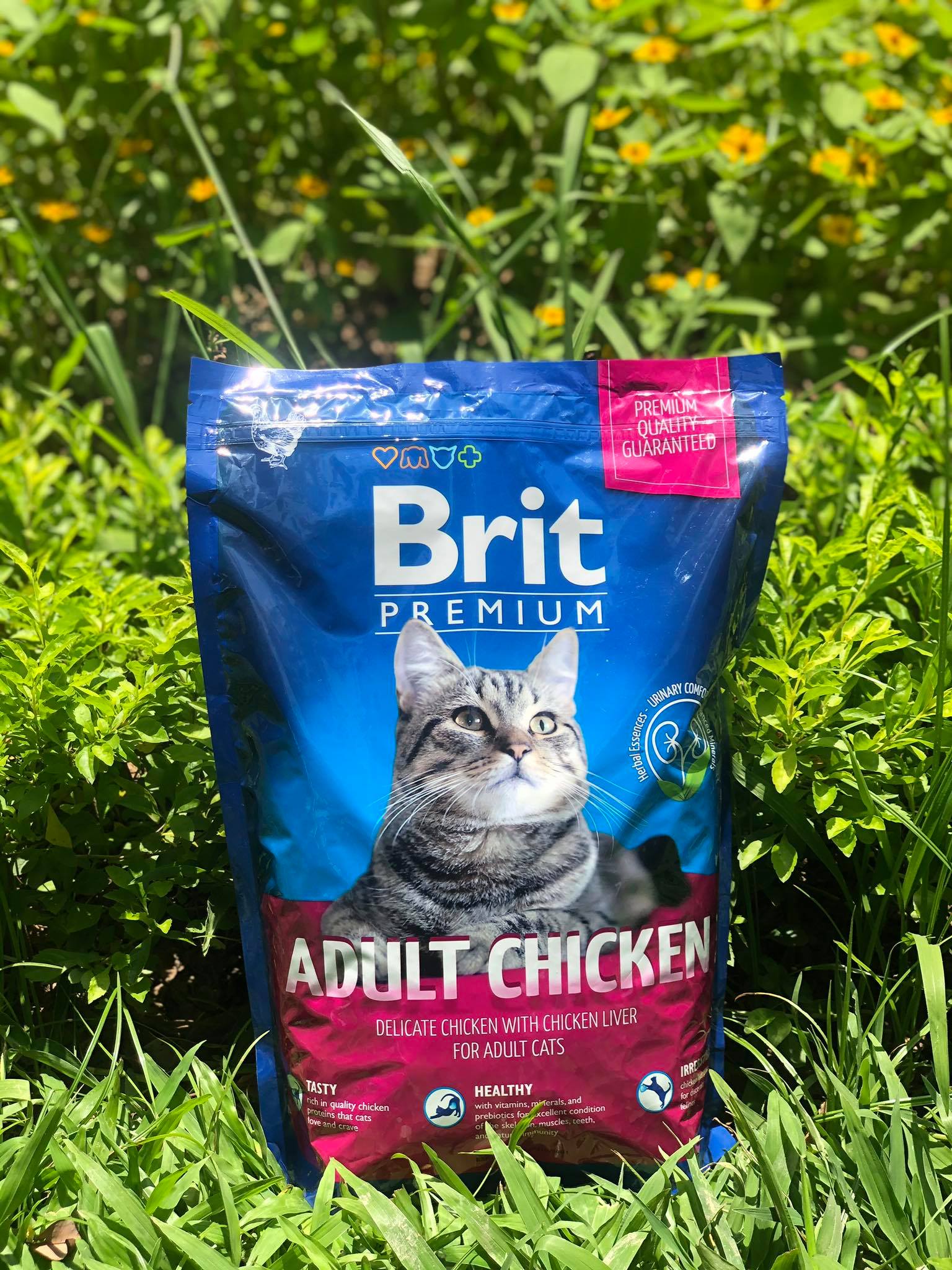 Brit Premium Cat Adult Chicken