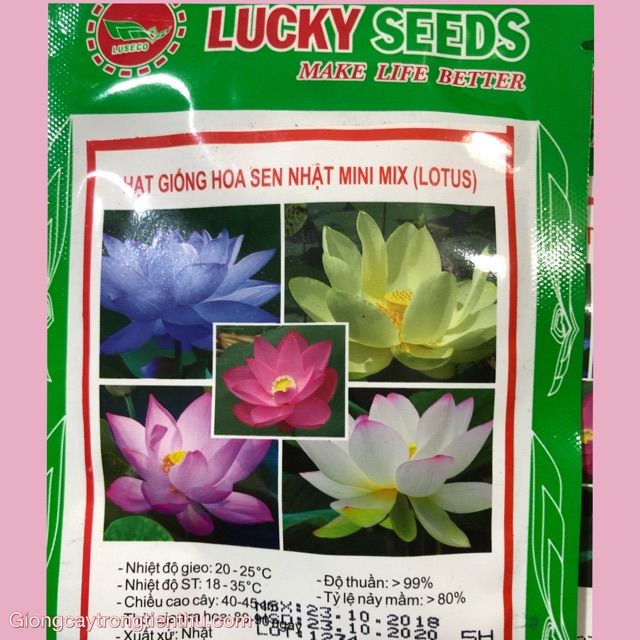 Hạt giống hoa sen nhật mini mix