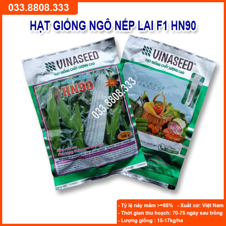 [Chính hãng] Hạt Giống Ngô Nếp Lai HN90 500gram - Hạt Ngô Đều Dẹp Thơm Tròn Hạt