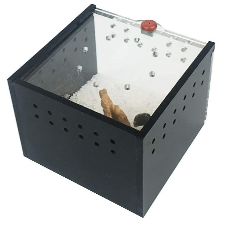 Hộp nuôi nhện bọ cạp bò sát nhỏ