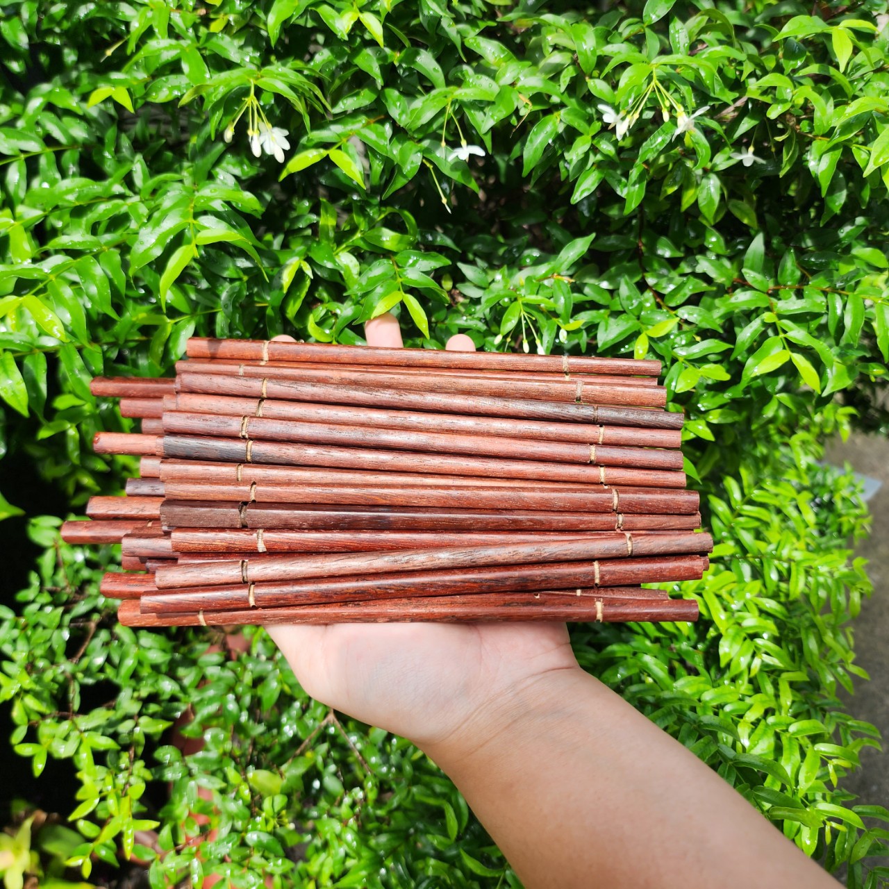 Combo cây trục đũa uốn xoăn xù mì, sóng cực đẹp