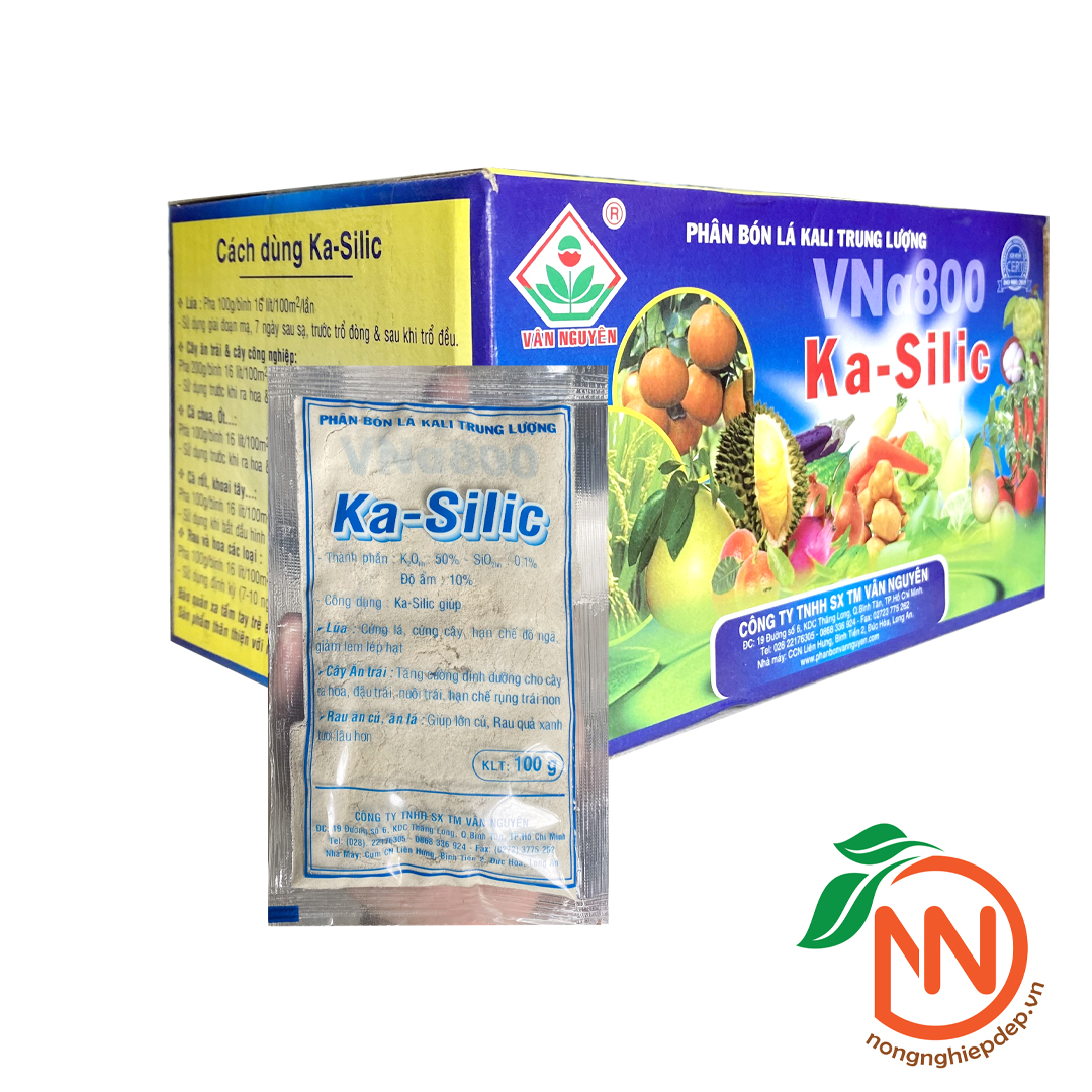 Kali silic | phân bón làm dài vòi hoa | kéo dài đốt cây