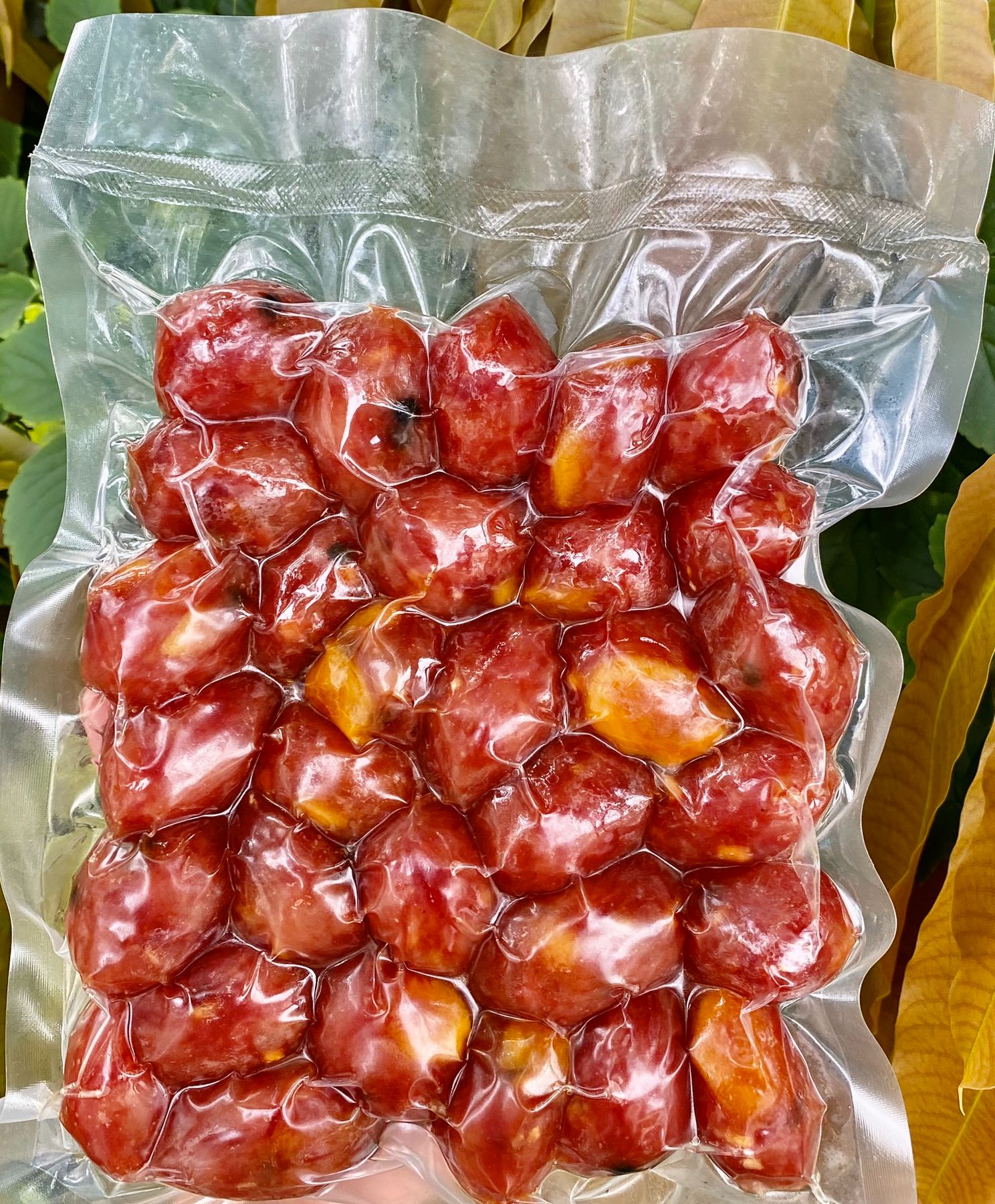 [Ship toàn quốc]  500g Lạp Xưởng Tươi HỒ LÔ TRỨNG MUỐI Cai Lậy Nạc 90%