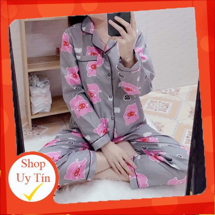 Mẫu ngẫu nhiên-Bộ Dài tay freeship