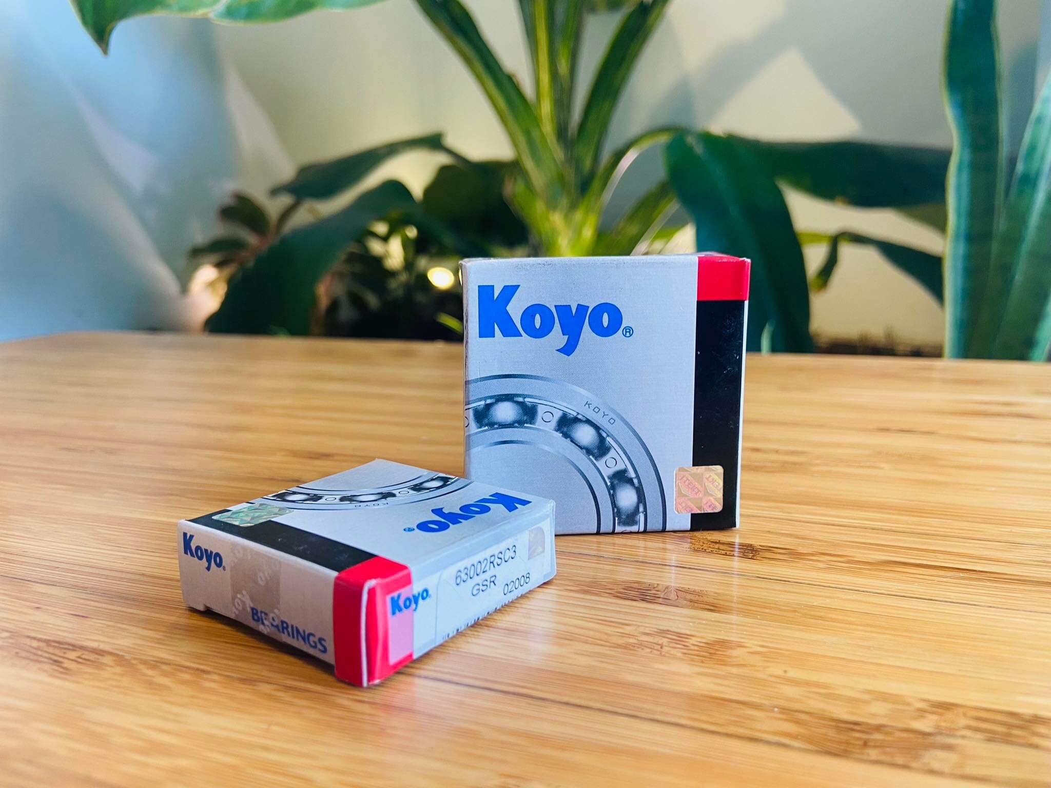 Vòng bi bạc đạn koyo 6300