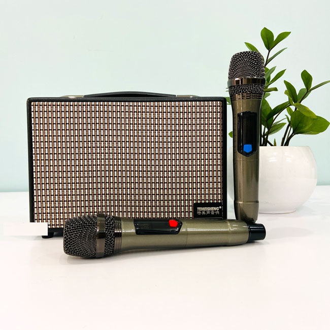 [HCM]Loa Kéo Mini Temeisheng JT-0605  Hàng Chính Hãng Loa Karaoke Công Suất Lớn Tích Hợp Equalizer Chỉnh Âm Qua Vang Số Cực Hay + Tặng 2 Micro Hút Âm + Bảo Hành 6 Tháng