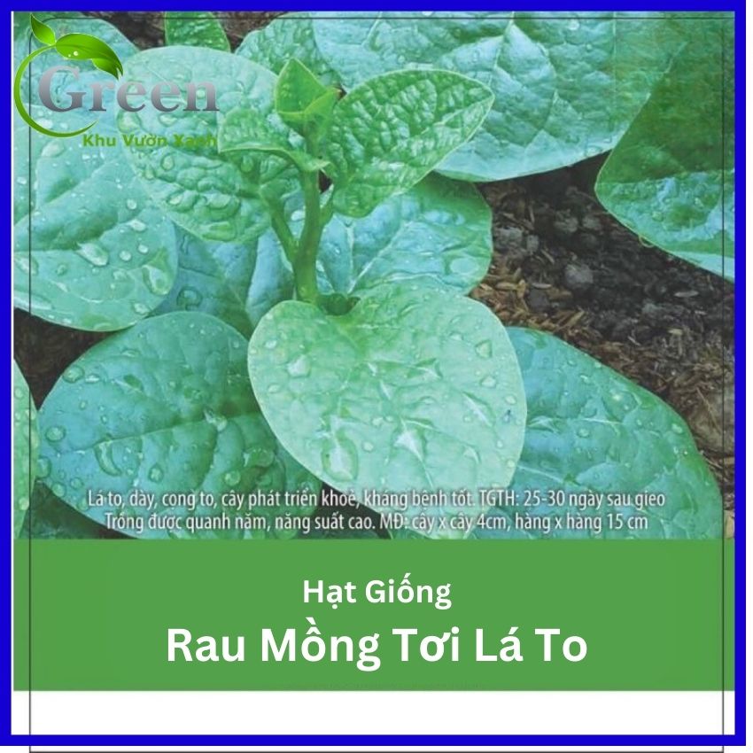 Hạt Giống Rau Mồng Tơi Lá To 10G