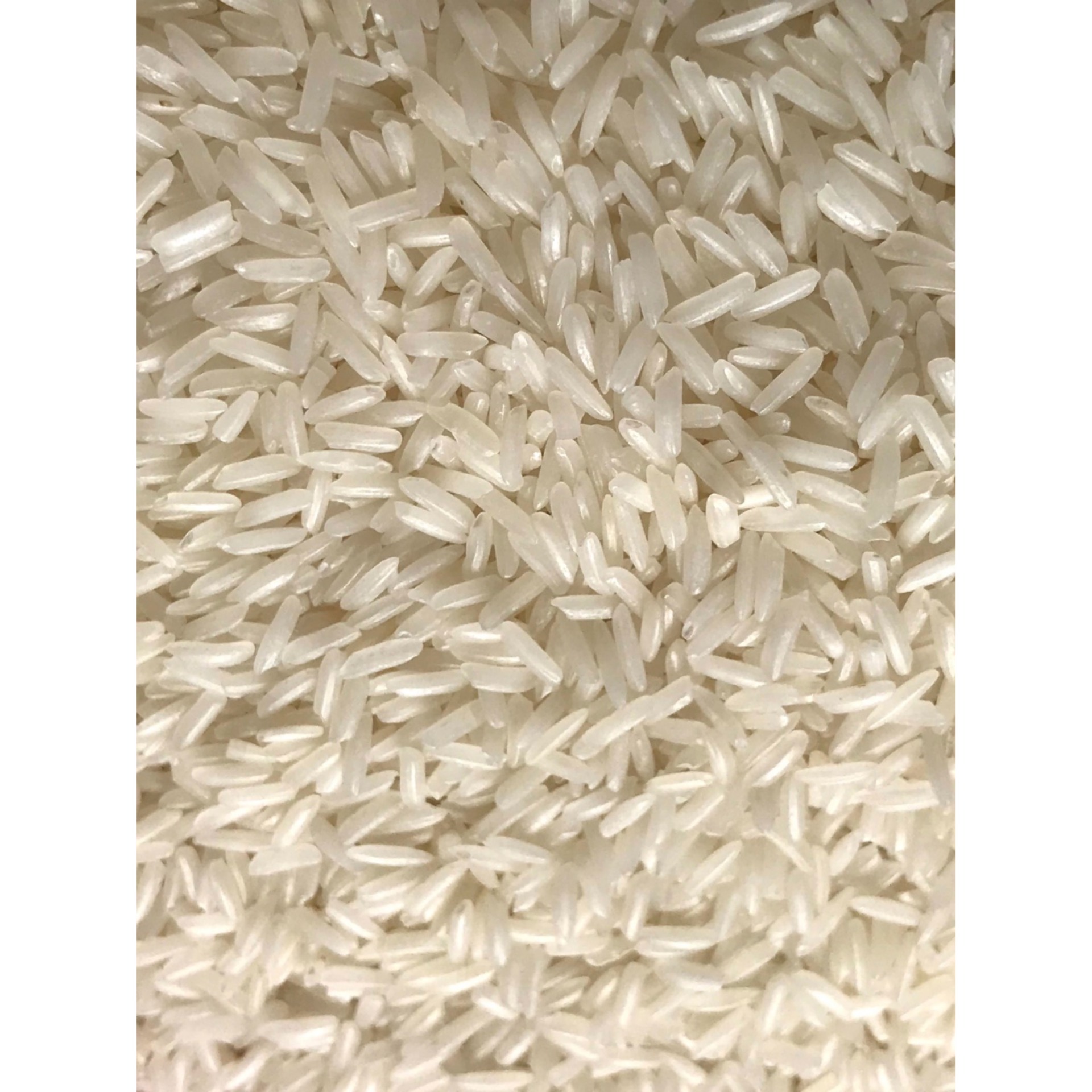 Gạo sạch lúa mùa 1 năm 1 vụ