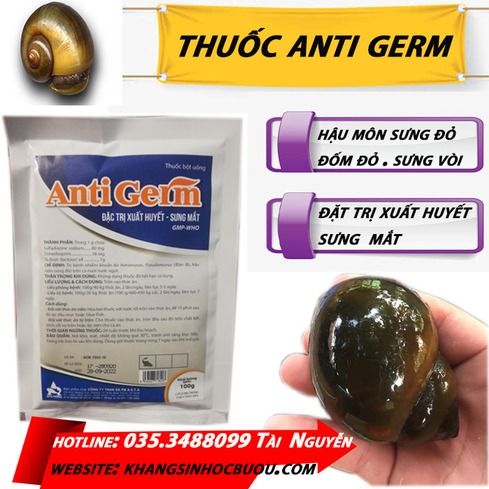 ANTI GERM Chuyê KHắc Phục Viêm Nhiễm Xuất Huyết Đường Ruột TRên Cá ỐC . Sưng Phù Đầu Cho ỐC  ( sản phẩm  Nên Kết Hợp Với Anti liver VÀ gestylic Để ngừa sưng trên ốc bươu đen hiệu quả nhất )
