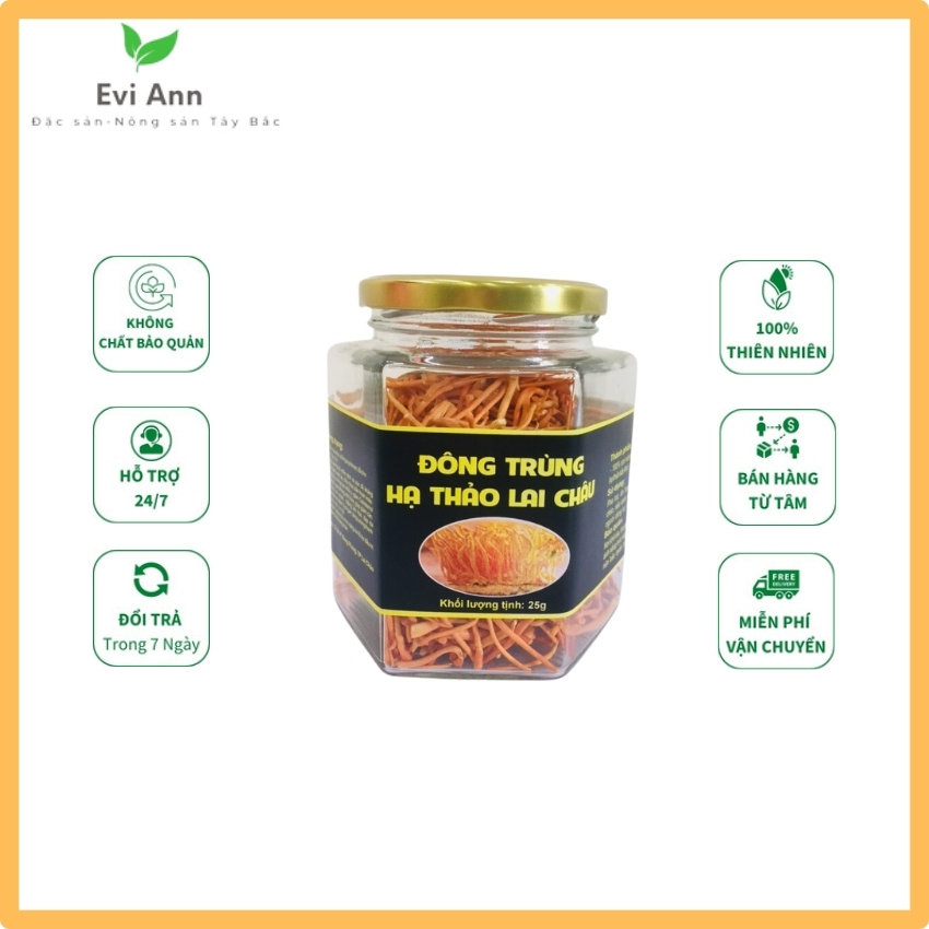 [FREESHIP+QUÀ]Đông trùng hạ thảo khô Evi Ann sấy thăng hoa hũ 25-50g LOẠI TIÊU CHUẨN đông trùng hạ thảo nuôi hữu cơ tại vùng núi Tây Bắc Lai Châu tăng khả năng miễn dịch, cải thiện sức khỏe, tăng cường sinh lý...