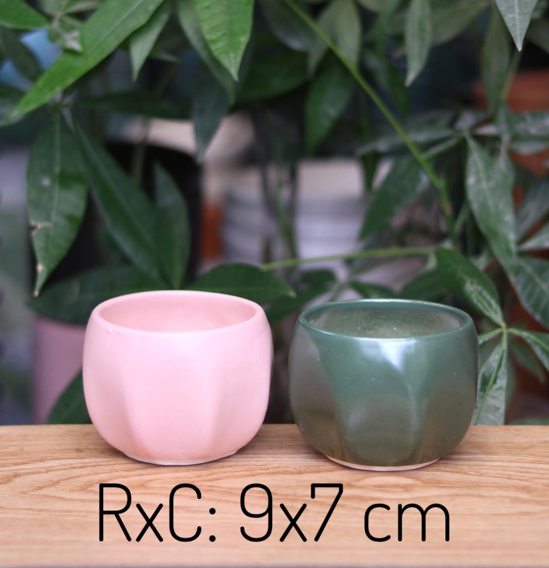 [HCM]Chậu Sứ Trồng Cây Cảnh Để Bàn Cây Nội Thất Sen Đá Xương Rồng Hình Búp Lõm