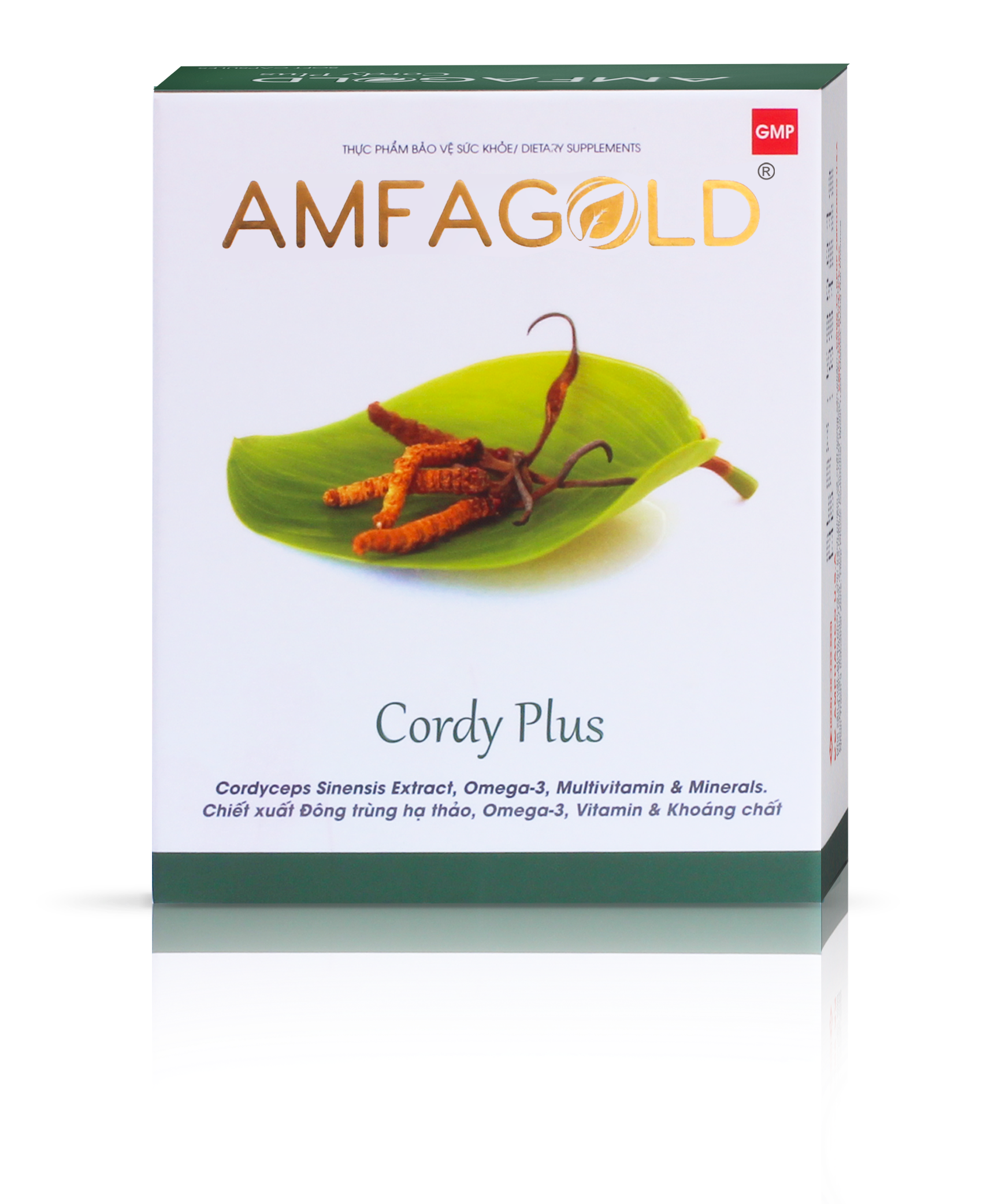 Viên uống đông trùng hạ thảo hỗ trợ tăng cường sức đề kháng AMFAGOLD CORDY PLUS