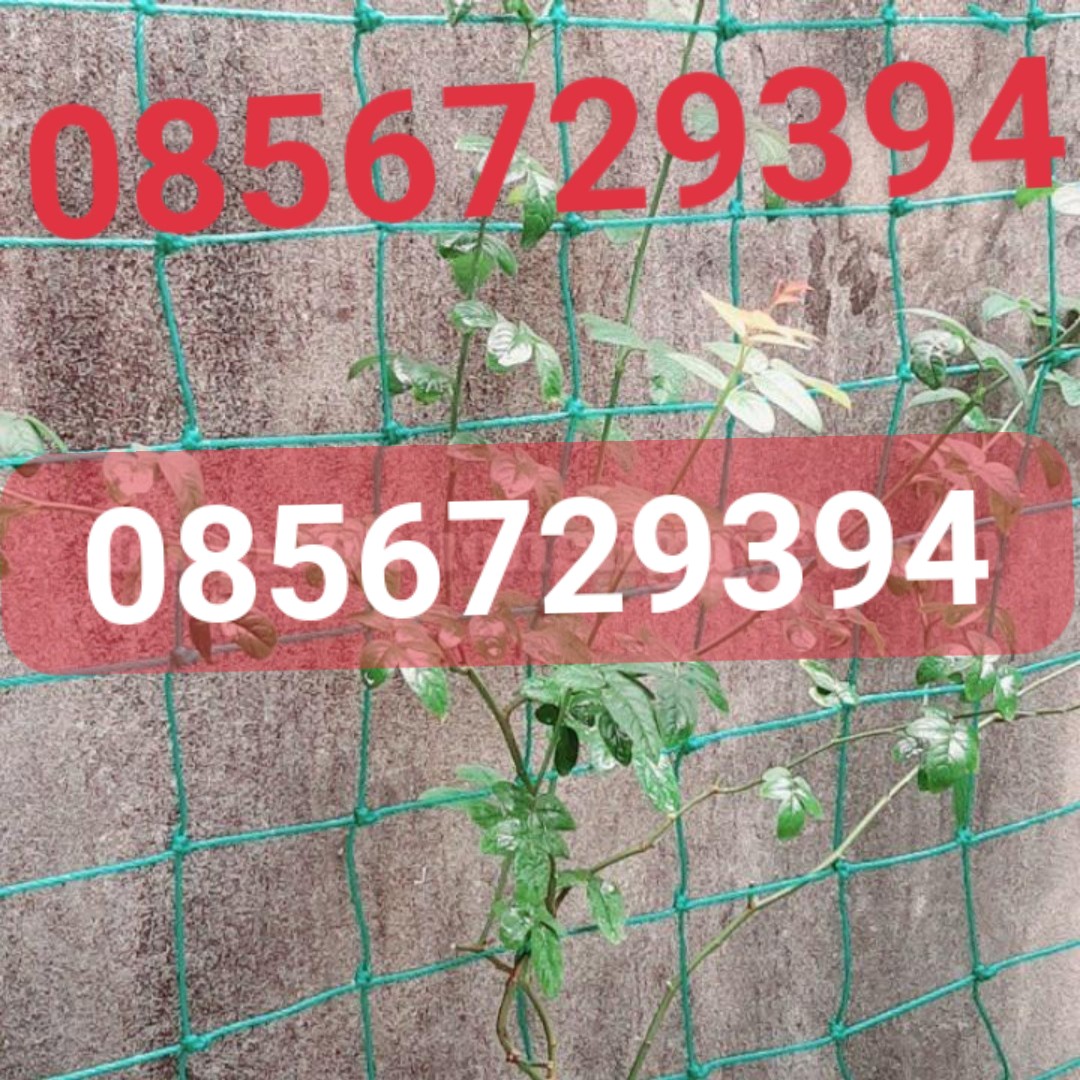 Lưới giàn mướp, giàn dưa leo size 2m x 5m