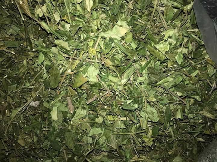 [HCM]Dây thìa canh LOẠI 1 ( gói 1kg)