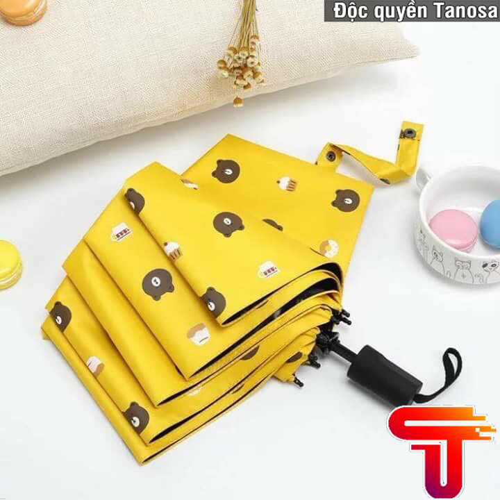 Tanasa ô dù gấp gọn họa tiết gấu brown cute nhiều màu