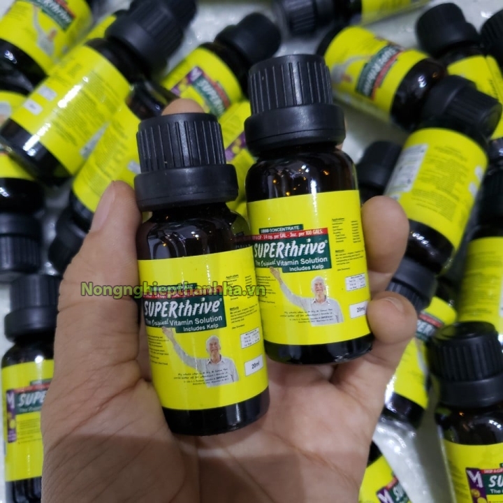 Hoocmon kích thích sinh trưởng Superthrive 20ml - T199