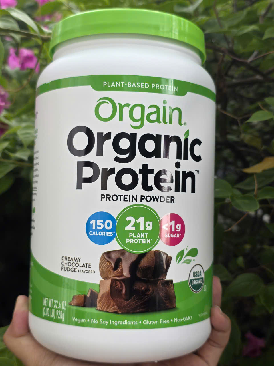 920g Orgain Protein Organic - Organic Plant-Based Milk Superfood Protein Powder Chocolate Flavor