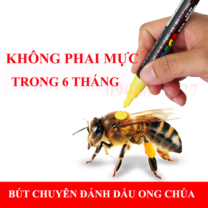 Bút Chuyên Đánh Dấu Ong Chúa Không Phai Mực Trong 6 Tháng