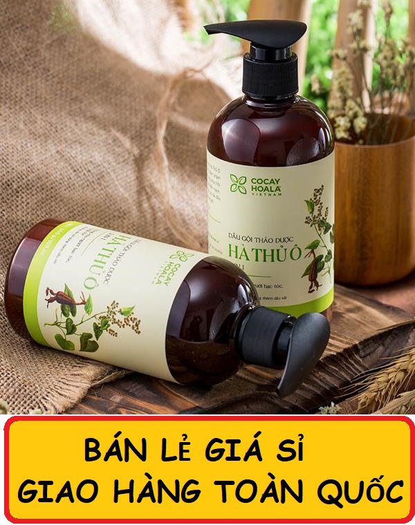 [Chuyên sỉ] Dầu gội thảo dược Hà thủ ô Cân Bằng Sắc Tố Melanin Cocayhoala 800ml