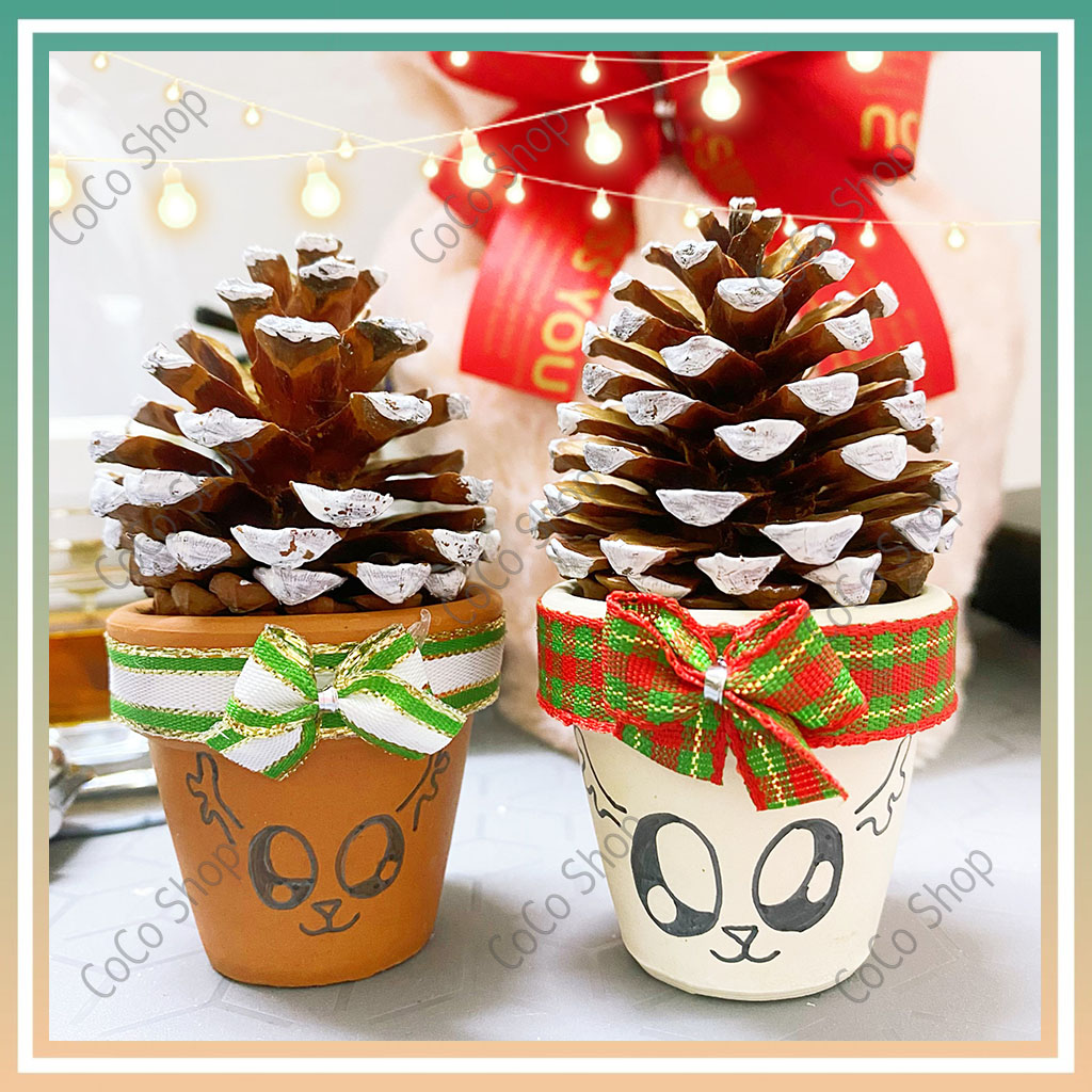 Cây thông để bàn mini, Cây thông noel trang trí từ trái thông khô