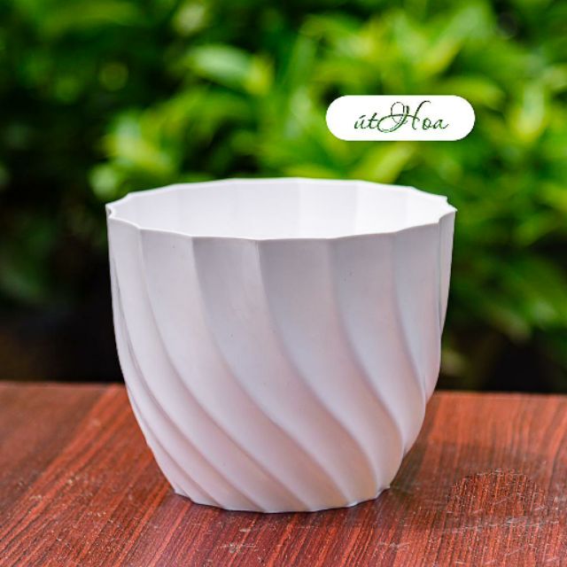 Chậu để bàn hình xoắn ốc