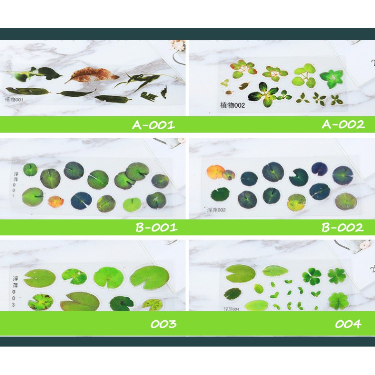 Decan 3D Bóc Dán Các Mẫu Bèo, Hoa, Lá Trang Trí Resin