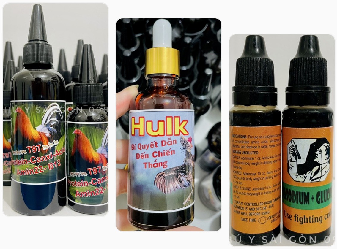 T97- Hulk - Pasodium Glucose - Nuôi hừng gà, cứng xương, bóng lông