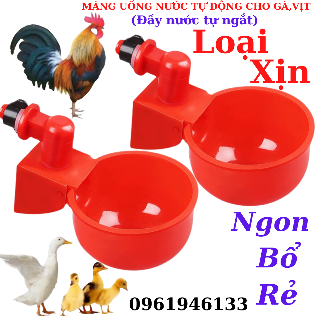 Máng uống, cốc uống tự động cho gà-vịt-ngan dạng cốc loại 1 hàng chất lượng.
