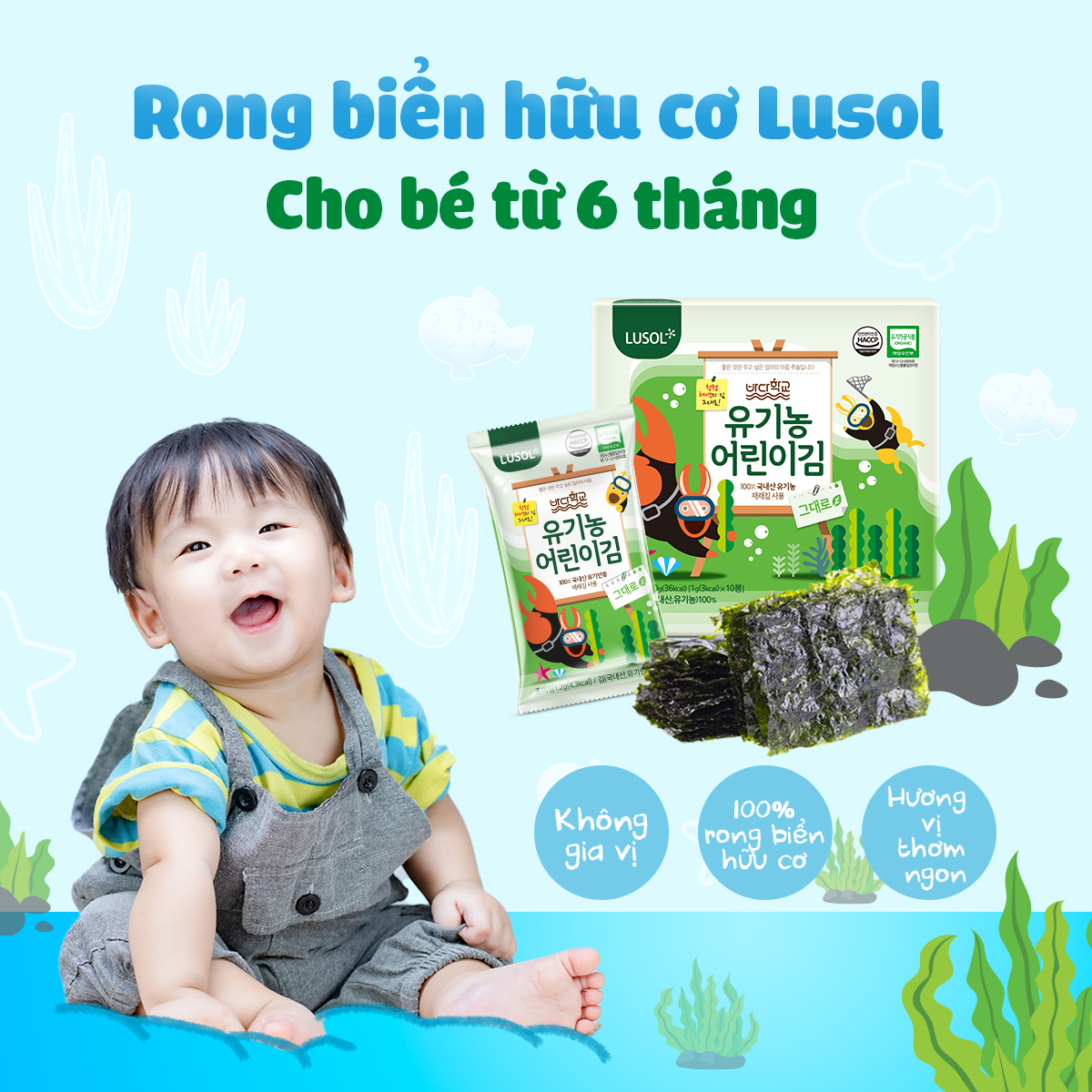Rong biển  Hàn Quốc LUSOL tách dầu, tách muối cho bé từ 8M+ ALADDIN VINA