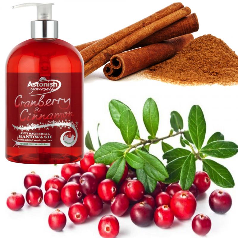 [HCM]NƯỚC RỬA TAY NAM VIỆT QUẤT & QUẾ ASTONISH C4650 500ml