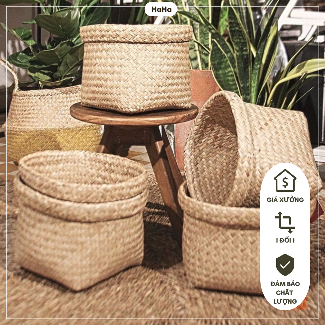 Thúng cói trồng cây giỏ cói decor gcd02-1