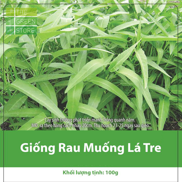 Hạt giống rau muống lá tre 100g