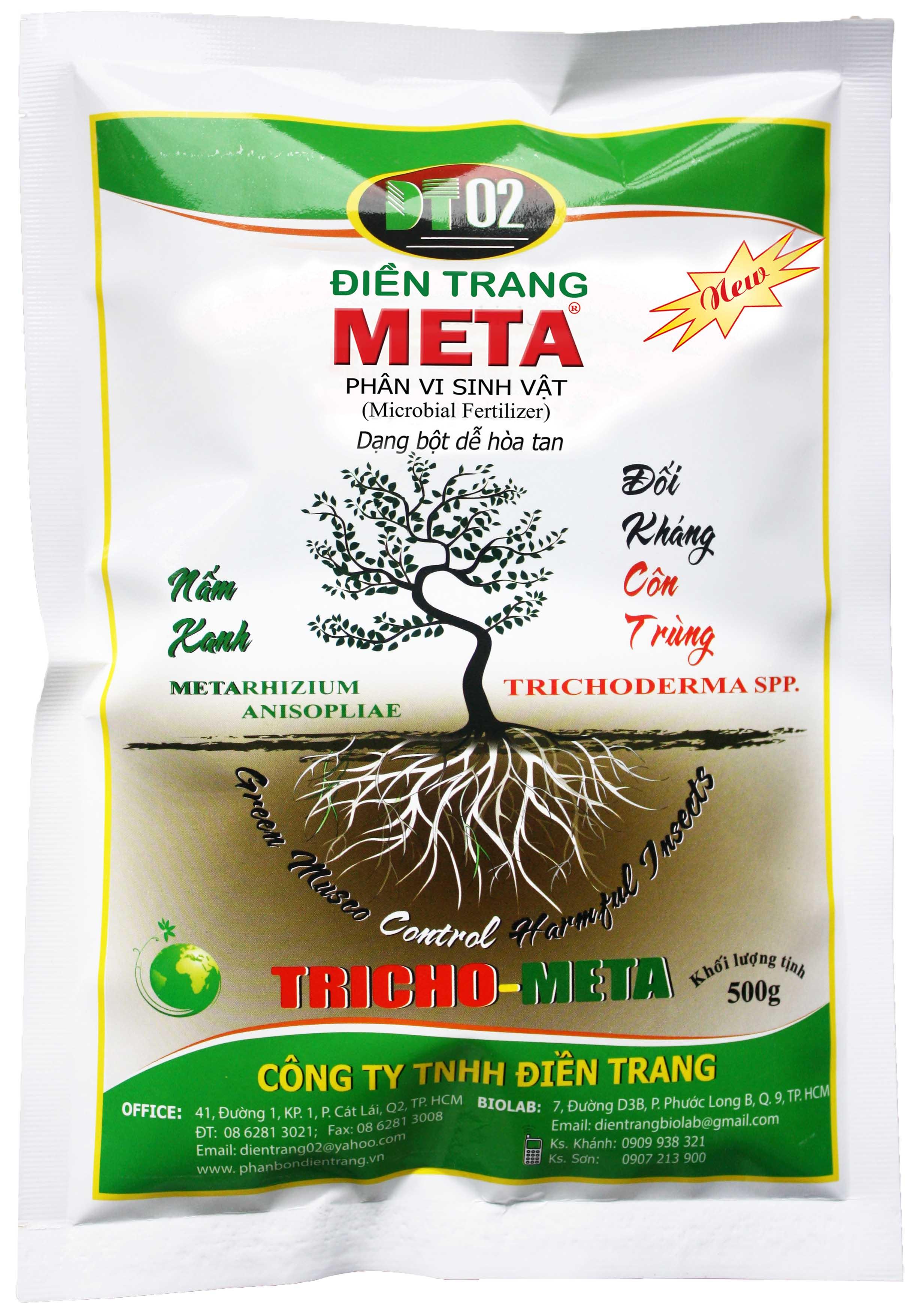 Nấm xanh Metarhizium anisopliae đối kháng côn trùng, bảo vệ bộ rễ