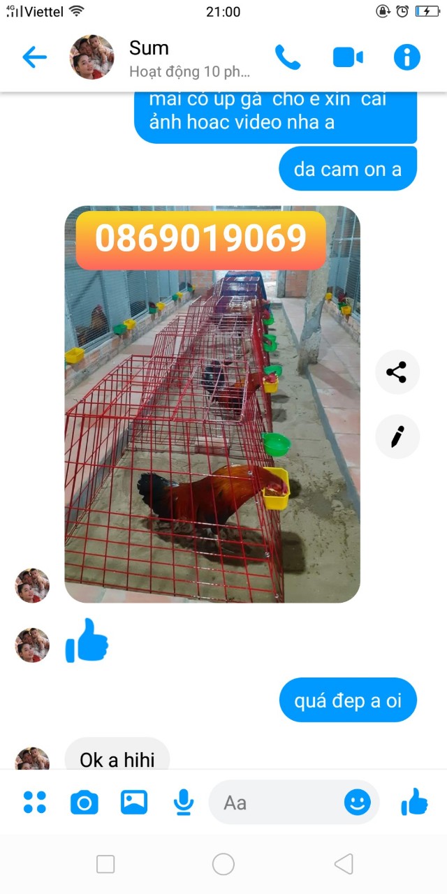 BỘI VUÔNG , BỘI THÁP, BỘI VUÔNG , BỘI GÀ