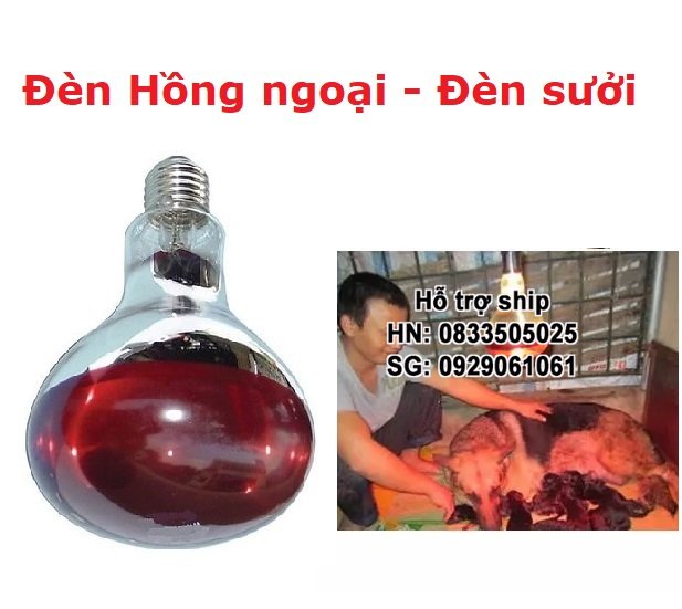 Hanpet - Đèn hông ngoại sưởi ấm thú cưng công suất cực lớn 175w Đèn sưởi Úm  cho chó mèo (2 loại) nhỏ và sưởi chó mèo vào mùa đông