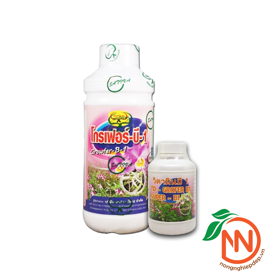 B1 grofer | vitamin b1 trắng nuôi dưỡng rễ cây