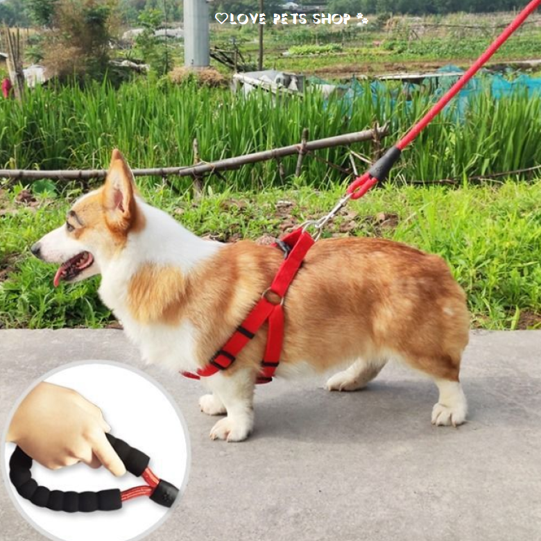 Bộ dây dắt Chó có phản quang kèm yếm ngực bằng chất liệu vải nylon - Love Pets Shop