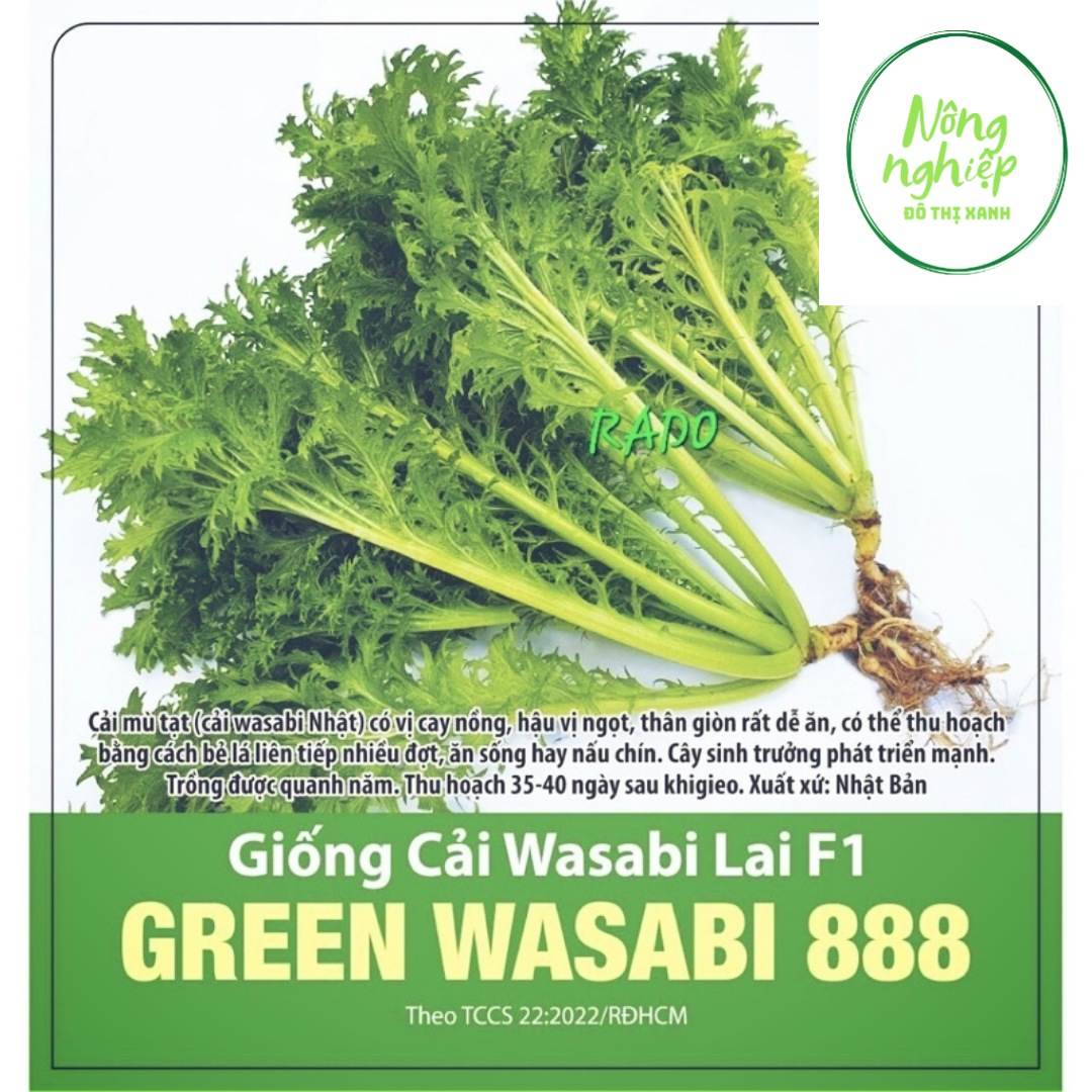 Hạt giống cải wasabi lai f1 1gr