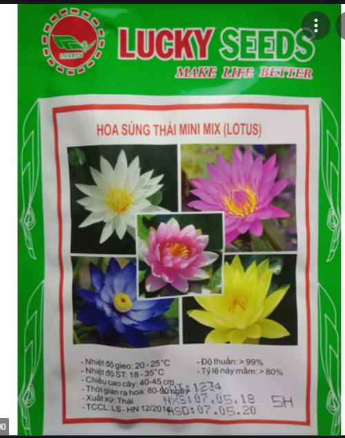 Hạt Giống Hoa Súng Thái Mini Gói 5 Hạt