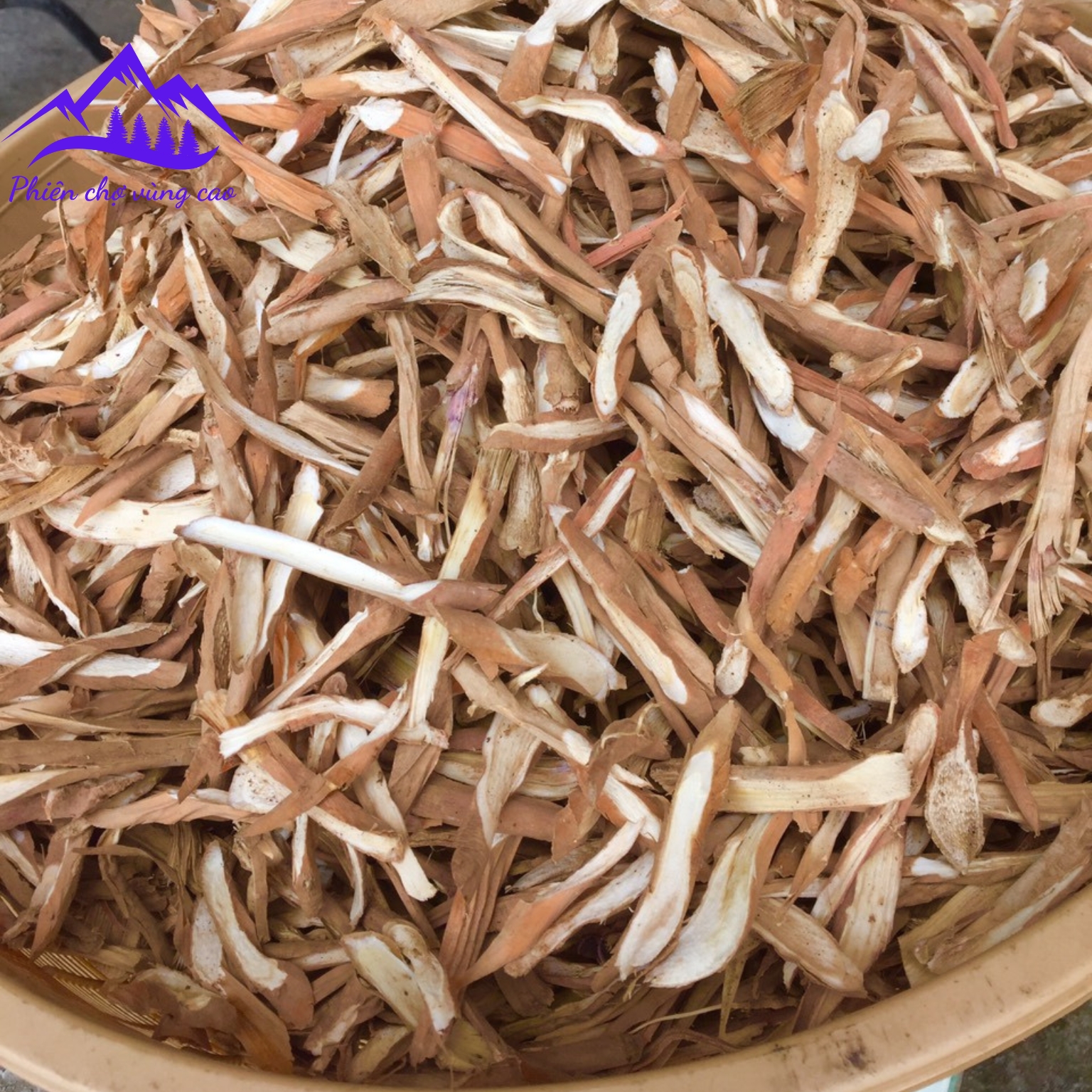 Sâm cau đỏ khô, sâm tiên mao đỏ thu rừng tự nhiên sấy khô ngâm rượu bổ thận tráng dương, tăng cường sinh lý nam