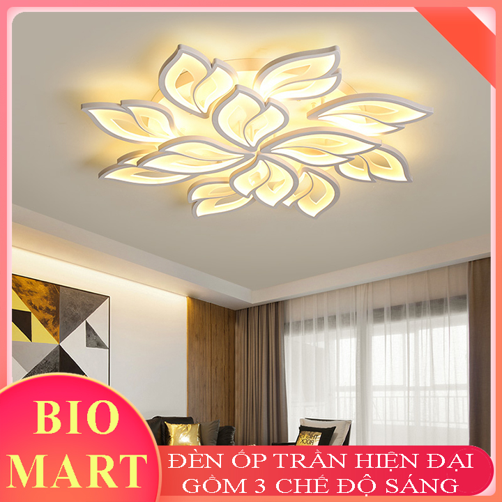 Đèn Ốp Trần Trang Trí – Đèn Áp Trần Trang Trí Phòng Khách, Gồm 3 Chế Độ Ánh Sáng, Có Điều Khiển Từ Xa Tiện Dụng – BIO117
