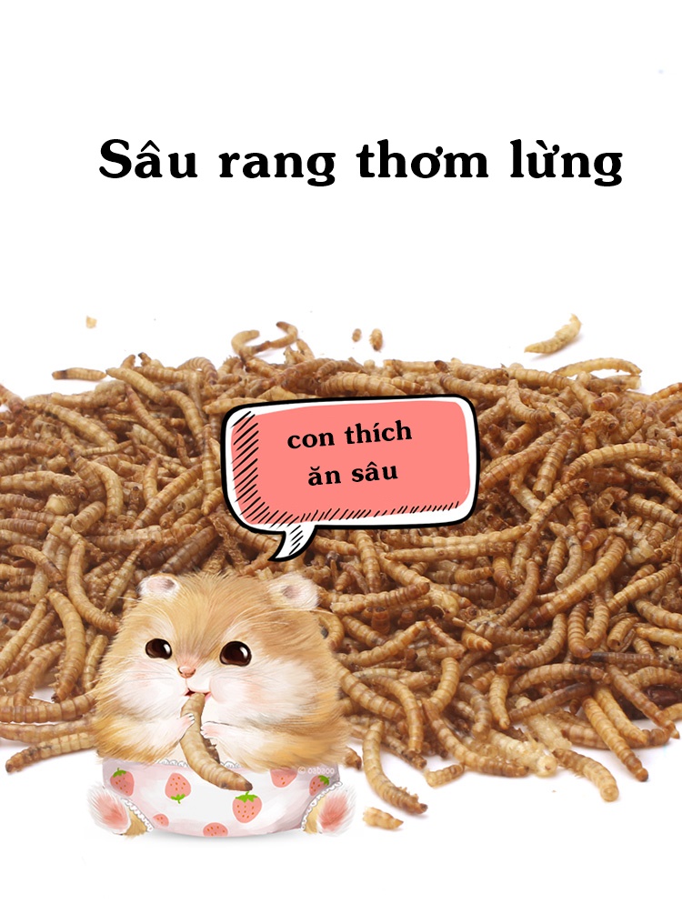 Sâu rang bơ cho Hamster size trung