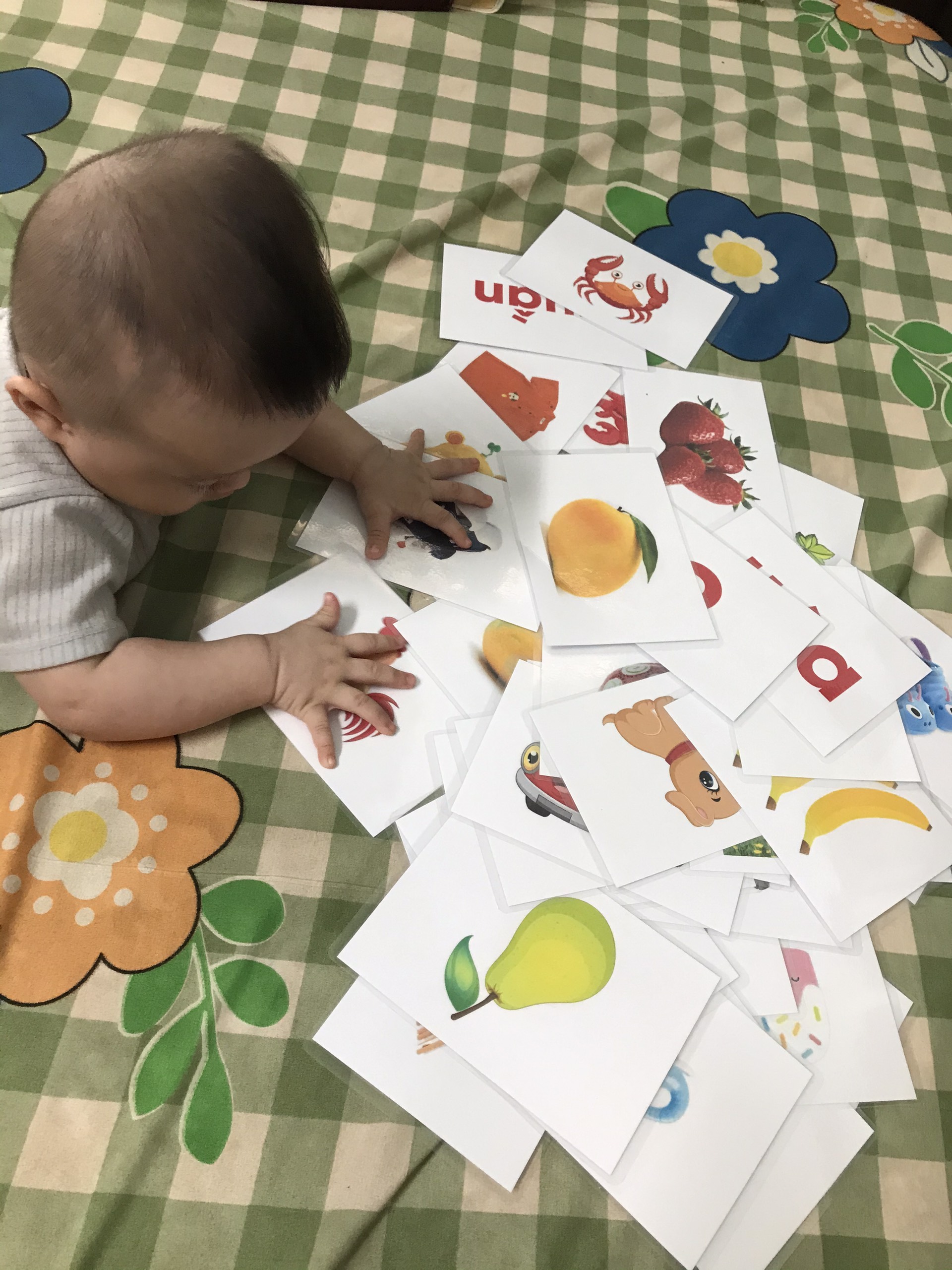 Bộ học liệu cho bé - A6 ép plastic