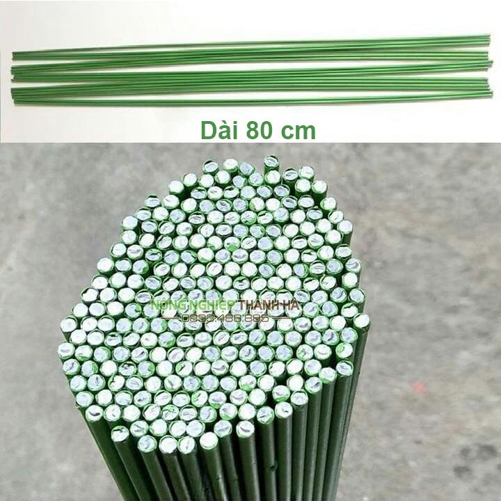 10 Que cắm lan màu xanh dài 80 cm