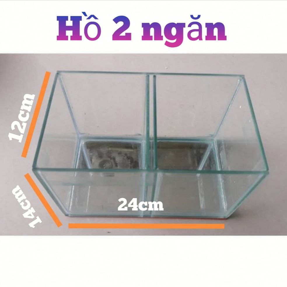 Hồ kính 2 ngăn