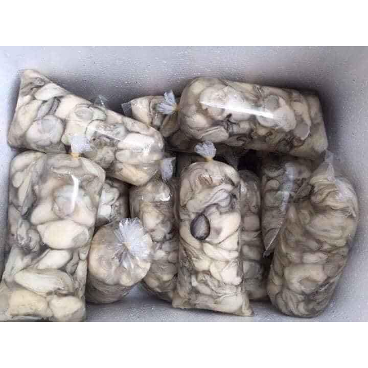 Hàu sữa tách vỏ tươi ngon - bịch 500g Luôn nước (giao TPHCM)
